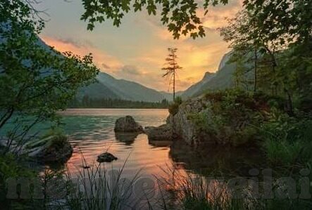 ra足球比分网-RA足球比分网，足球迷的实时数据宝藏库与赛事分析新引擎
